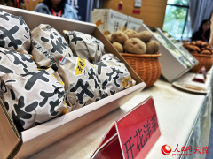 云南东川:院府合做共建 鞭策梯度种业复 云南东川:院府合做共建 鞭策梯度种业复